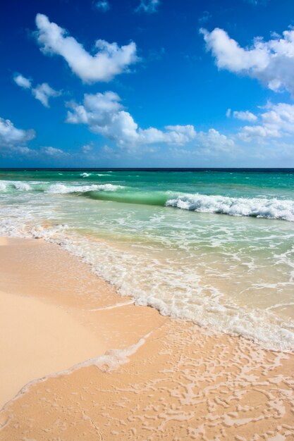 Schöner Strand und Meer