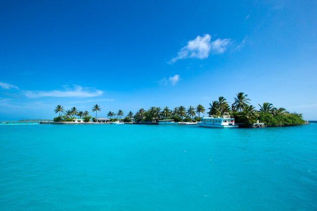 Schöner Strand und tropisches Meer. Reiselandschaft