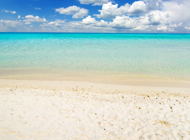 Schöner Strand und tropisches Meer