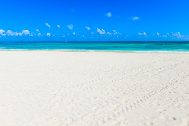 Schöner Strand und tropisches Meer