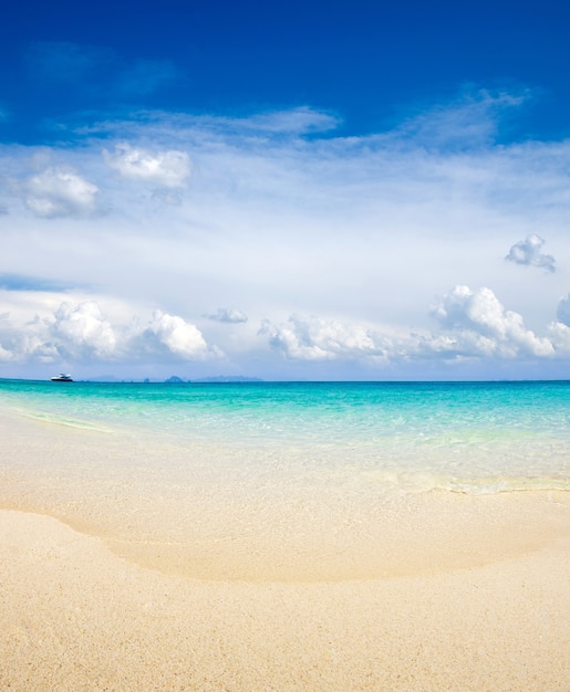 Schöner Strand und tropisches Meer