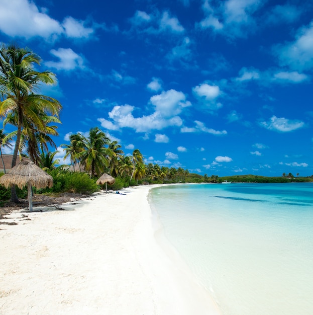 Schöner Strand und tropisches Meer