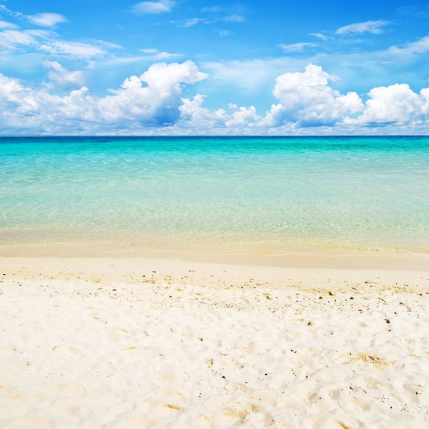 Schöner Strand und tropisches Meer