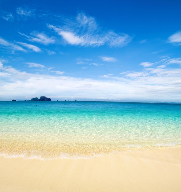 Schöner Strand und tropisches Meer