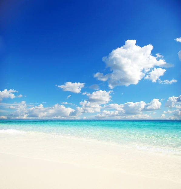 schöner Strand und tropisches Meer