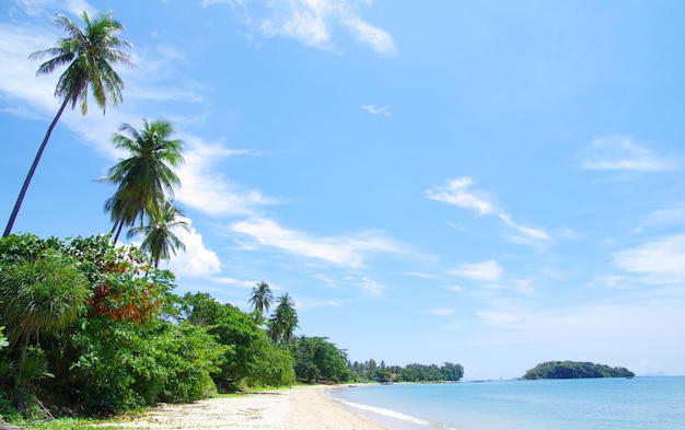 schöner Strand und tropisches Meer