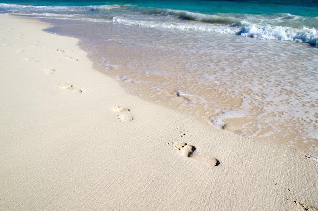 schöner Strand und tropisches Meer