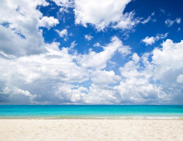 schöner Strand und tropisches Meer