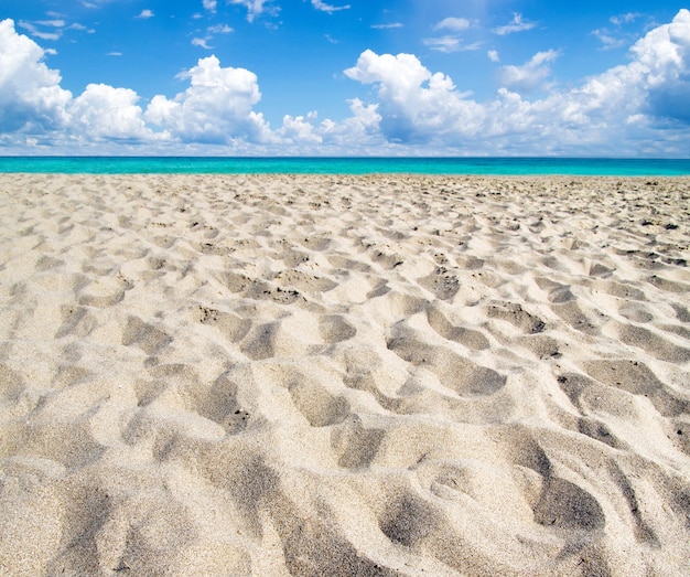 schöner Strand und tropisches Meer