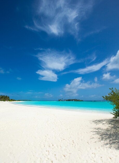 schöner Strand und tropisches Meer