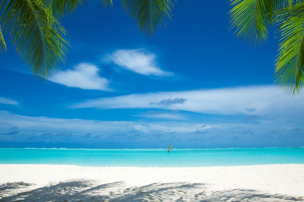 schöner Strand und tropisches Meer