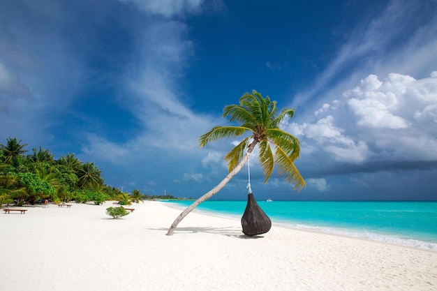 schöner Strand und tropisches Meer