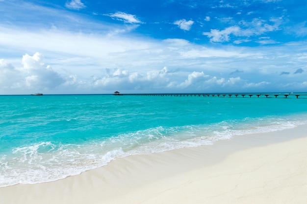 schöner Strand und tropisches Meer