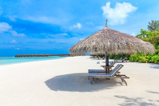 Schöner Strand und tropisches Meer