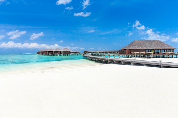 Schöner Strand und tropisches Meer