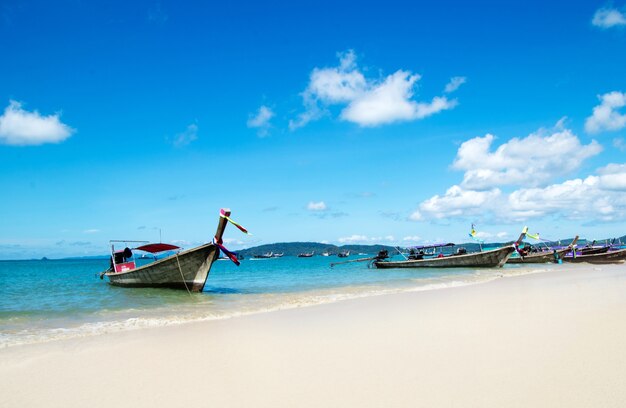 Schöner Strand und tropisches Meer