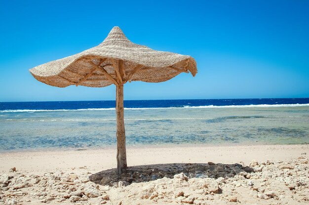 Schöner Strandurlaub auf Naturlandschaftshintergrund