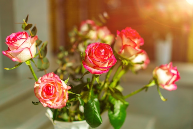 Schöner Strauß aus rosa und weißen Rosen in Vase tolles Geschenk für Ihre geliebten Frauen Morgenlicht und...