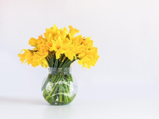 Schöner Strauß frühlingsgelber Narzissenblumen in transparenter Glasvase Blumenkomposition oder Narzissen auf weißem Hintergrund