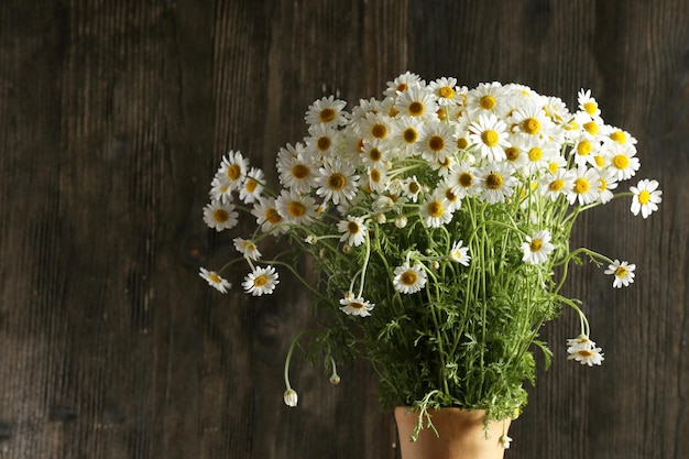 Schöner Strauß Gänseblümchen auf Holzuntergrund