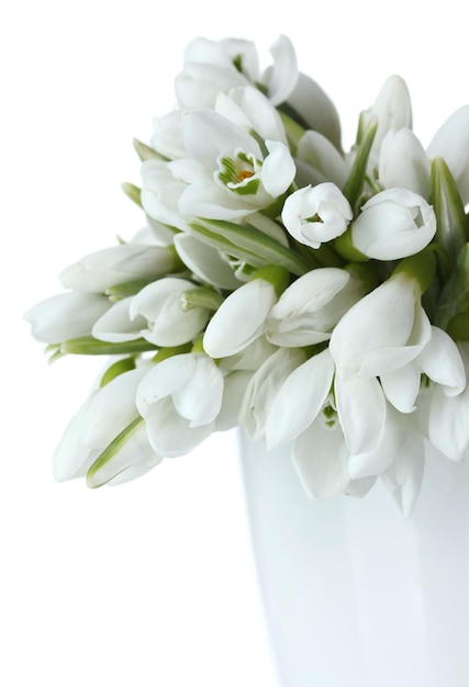 Schöner Strauß Schneeglöckchen in Vase isoliert auf weiß