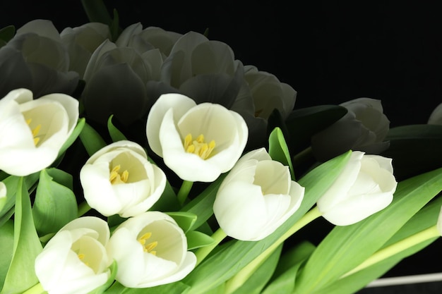 Schöner Strauß weißer Tulpenblumen mit Karte auf schwarzem Hintergrund, Platz für Text