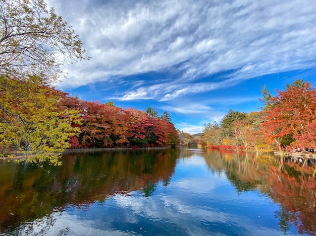 Schöner Teich "Kumoba-ike" im Herbst, der Teich befindet sich in Karuizawa, Japan