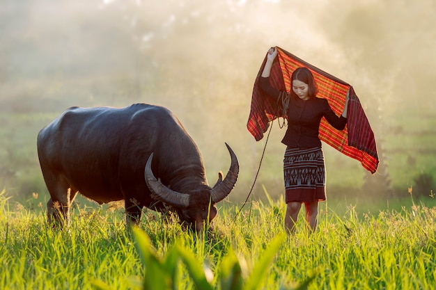 Schöner thailändischer Landwirt, der ihren Büffel betrachtet