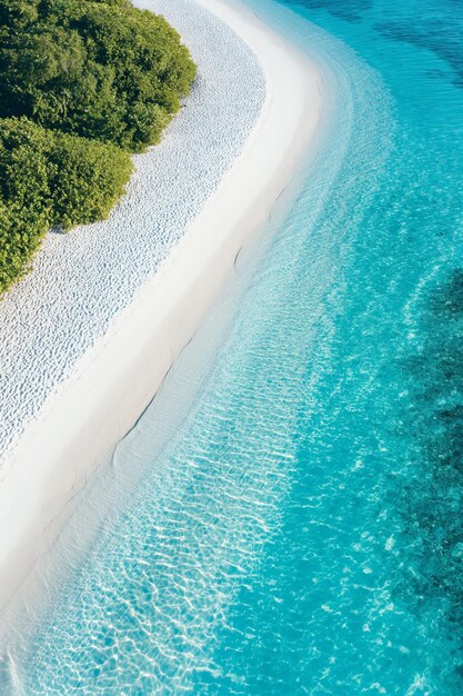 Schöner tropischer Inselparadiesstrand mit grünen Bäumen, weichem weißen Sand und türkisfarbenem Wasser