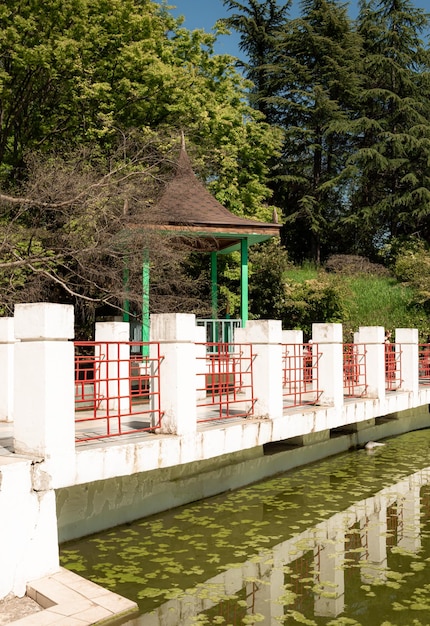 schöner tropischer park in russland sotschi arboretum park brunnen natur japanischer stil sommer