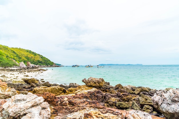 schöner tropischer Strand bei Koh Larn in Pattaya