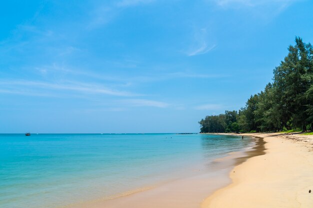 Schöner tropischer Strand und Meer in der Paradiesinsel