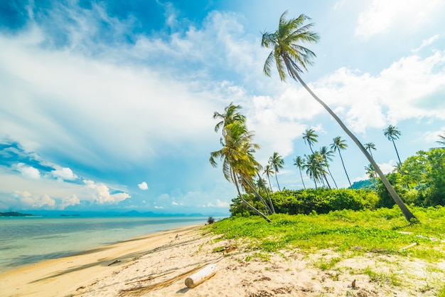 Schöner tropischer Strand und Meer mit KokosnussPalme in der Paradiesinsel