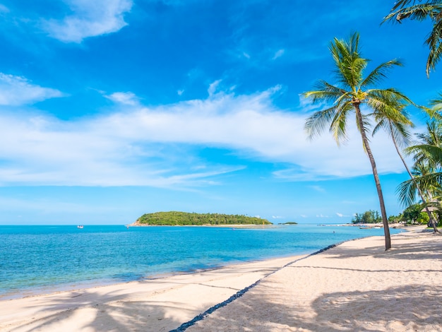 Schöner tropischer Strand und Meer mit KokosnussPalme