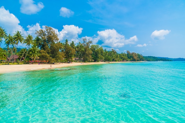 Schöner tropischer Strand und Meer