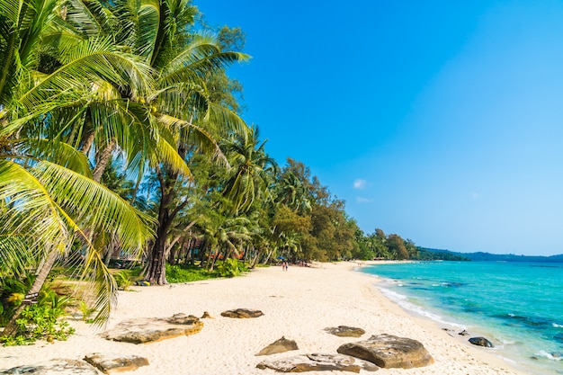 Schöner tropischer Strand und Meer