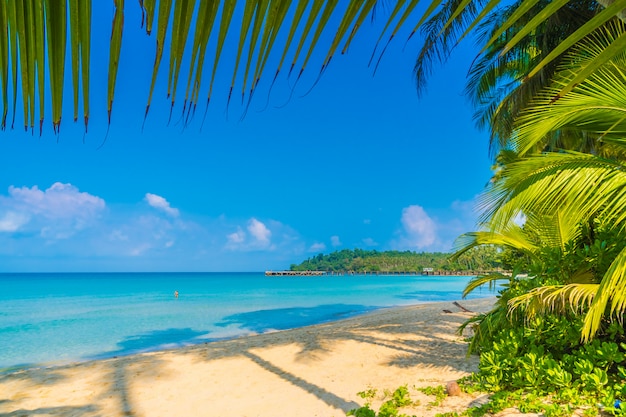 Schöner tropischer Strand und Meer