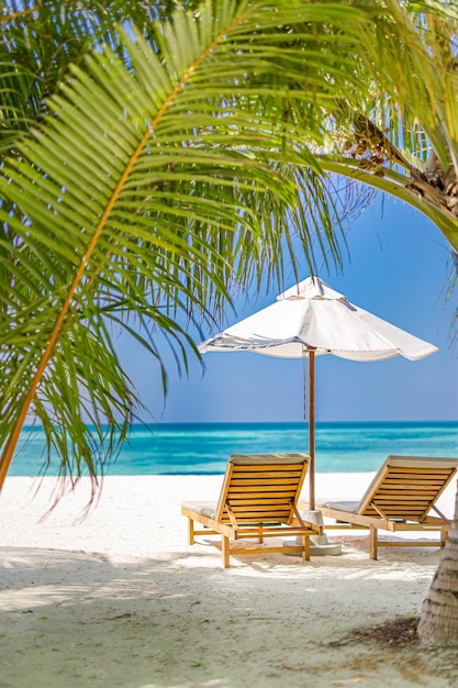 Schöner tropischer Strand. Weiße Sandkokospalmen reisen Tourismus, Stühle Regenschirm. Sommer am Meer