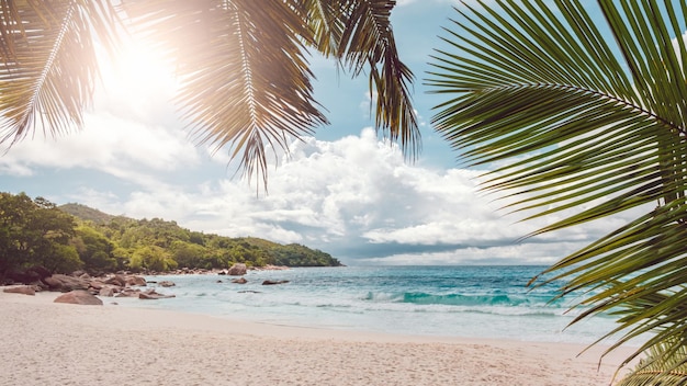 Schöner tropischer Strand