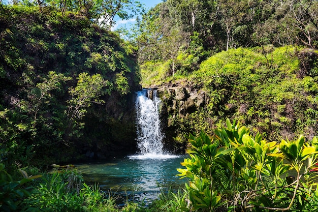 Schöner tropischer Wasserfall in Hawaii