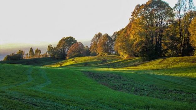 Schöner und natürlicher Garten in den Dolomiten bei Sonnenuntergang