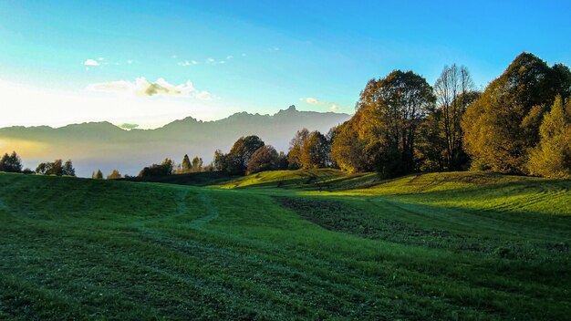 Schöner und natürlicher Garten in den Dolomiten bei Sonnenuntergang