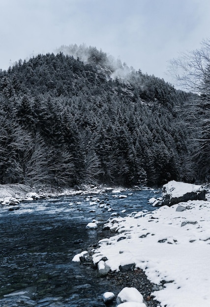 Schöner Urlaub Natur Erstaunliche Winterlandschaft