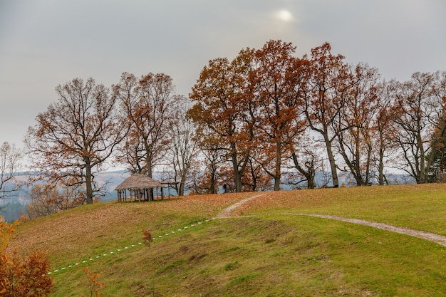 Schöner Wald an einem Herbsttag