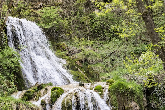 Schöner Wasserfall im bewaldeten Wald