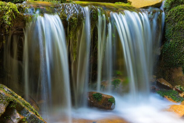 Schöner Wasserfall im grünen Wald. Kaskade von Bewegungswasser