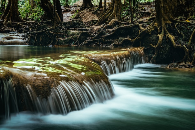 Schöner Wasserfall im grünen Wald