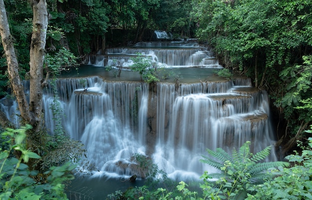 Schöner Wasserfall im grünen Wald