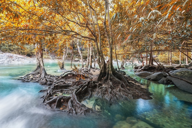 schöner Wasserfall im Herbstwald des Stromes im Naturpark