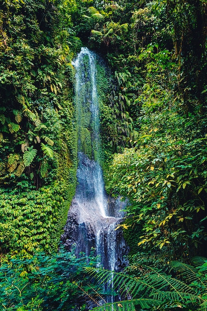 Schöner Wasserfall im tropischen Wald von Bali, Indonesien